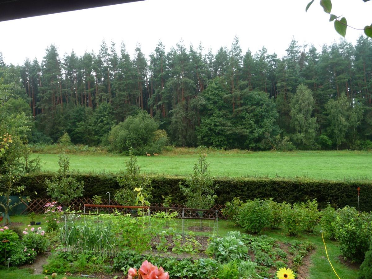 Hradec u Stodu (chat.os.Babylon)