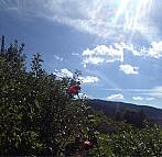 Horní Bečva - Opálený