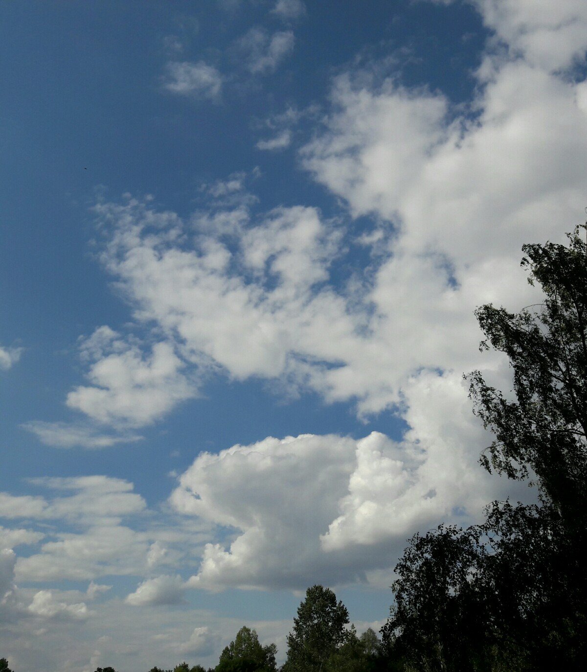 Hradec Králové - Třebeš