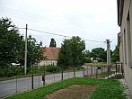 Třibřichy