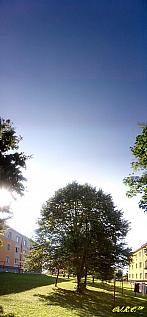 Slavičín, sídliště Vlára