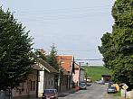 Třibřichy