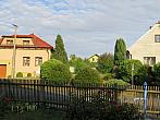 Třibřichy