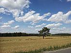 Hostákov