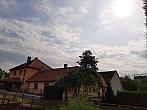Olešná