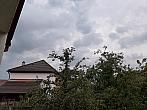 Olešná