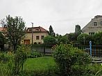 Třibřichy