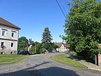 Třibřichy