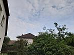 Olešná