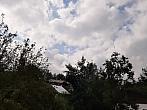 Olešná