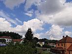 Olešná