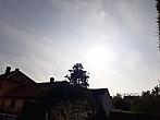 Olešná