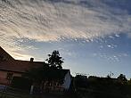 Olešná