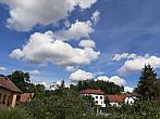 Olešná