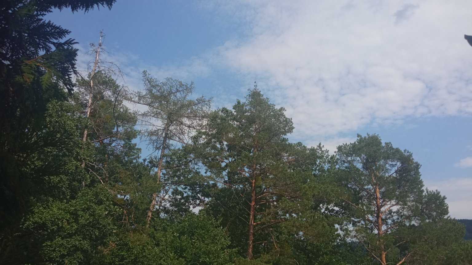 Cholín-Boubovny(Sedlčansko)