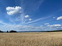 Martinice v Krkonoších