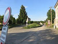 Třibřichy