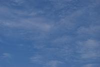 Březová u Uherského Brodu