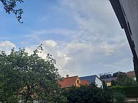 Olešná