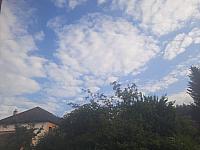 Olešná