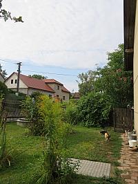 Třibřichy