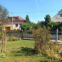 Třibřichy