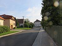 Třibřichy