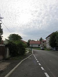 Třibřichy
