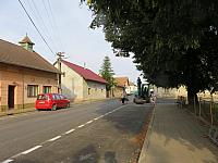 Třibřichy