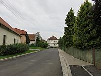 Třibřichy