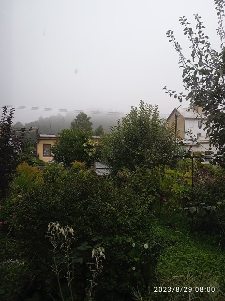 Olešnice na Moravě