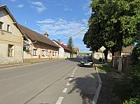 Třibřichy