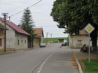 Třibřichy