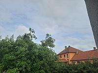 Olešná