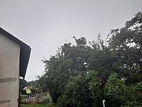 Olešná