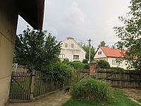 Třibřichy