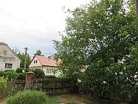Třibřichy