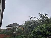 Olešná