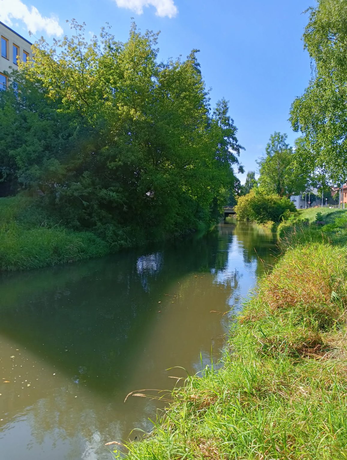 Olomouc-Mlýnský potok