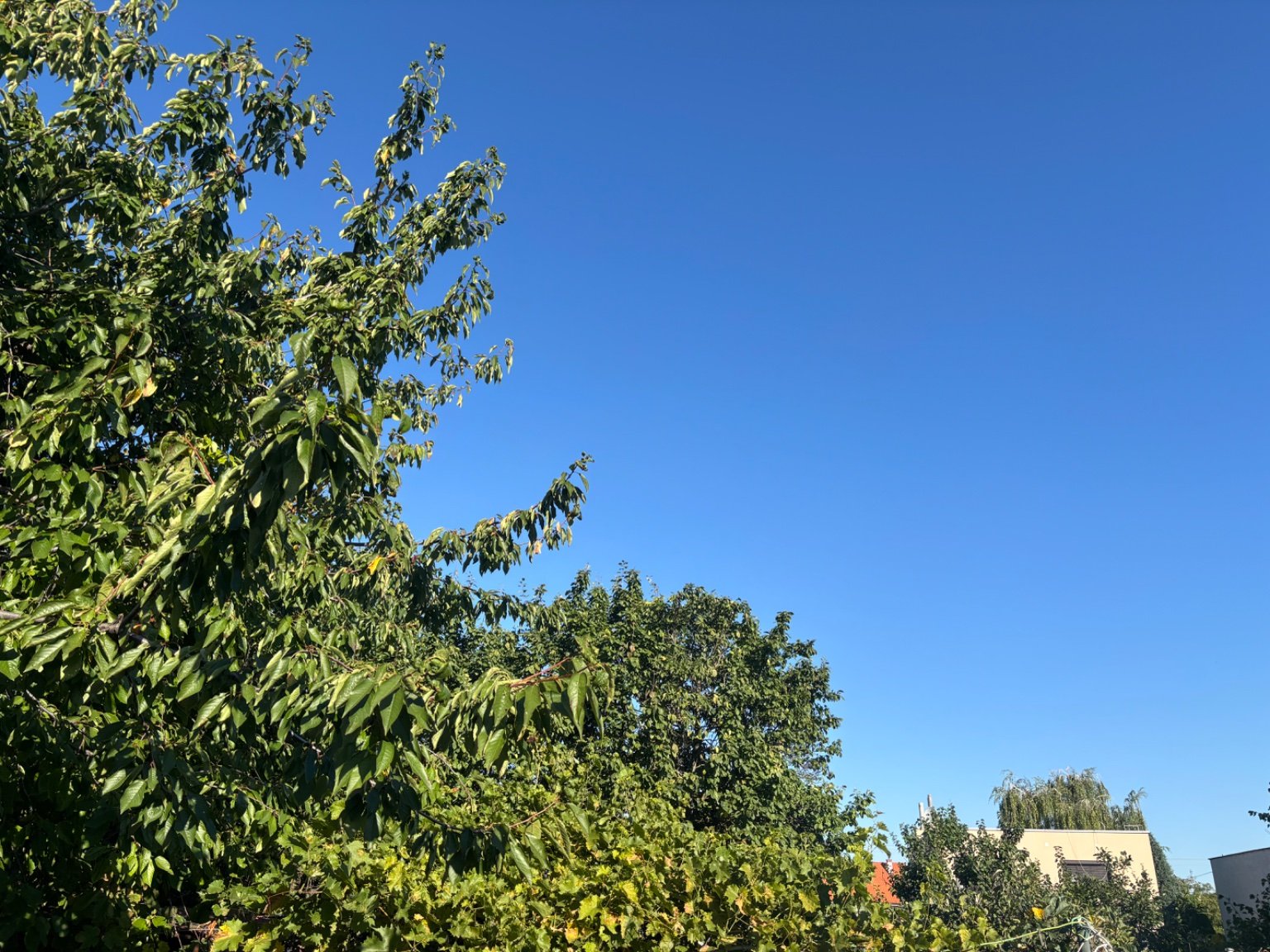 Hrnčiarovce nad Parnou