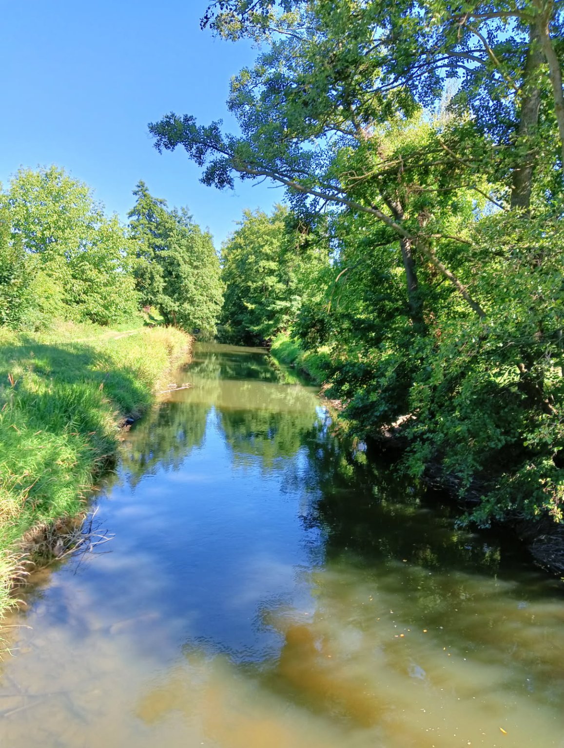 Olomouc-Mlýnský potok