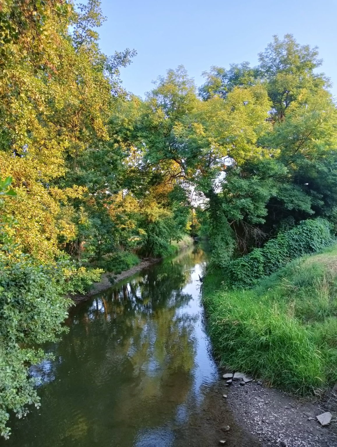 Olomouc-Mlýnský potok