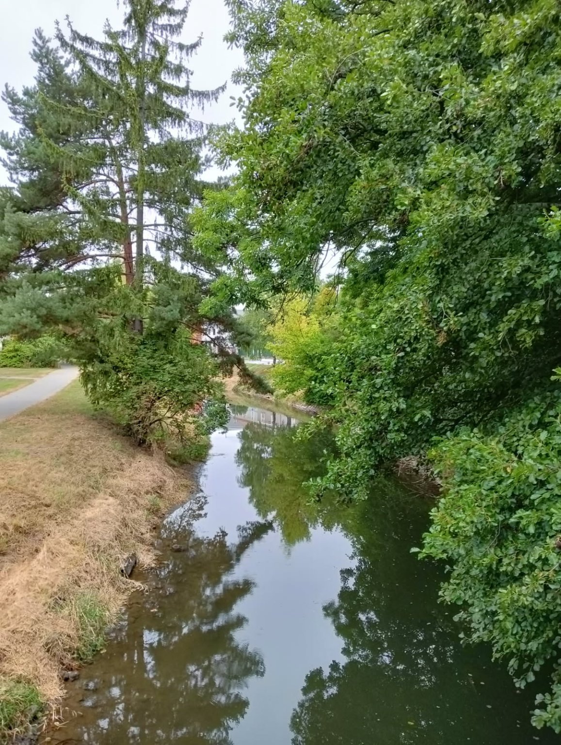 Olomouc-Mlýnský potok