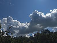 Kopřivnice, Vlčovice