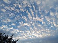 Kopřivnice, Vlčovice