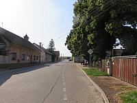 Třibřichy