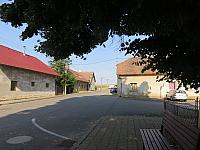 Třibřichy