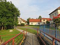 Třibřichy