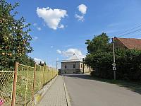 Třibřichy