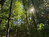 Hrnčiarovce nad Parnou